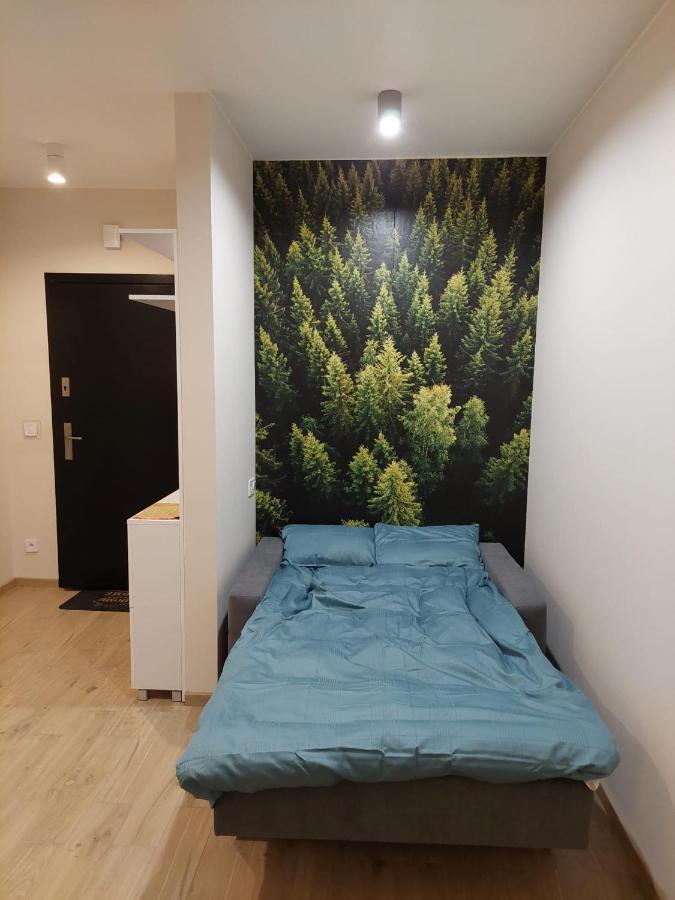 Apartament Pod Gora Szyndzielnia , Debowiec Бельско-Бяла Экстерьер фото