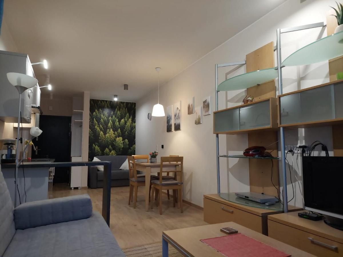 Apartament Pod Gora Szyndzielnia , Debowiec Бельско-Бяла Экстерьер фото